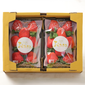 ��ѥå���250g��2�ѥå�