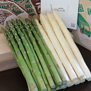 ���꡼�󥢥��ѥ�&�ۥ磻�ȥ����ѥ� ��800g