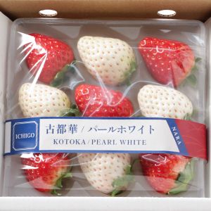 �������� 4Ȣ��