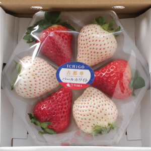 �ե� 4Ȣ��