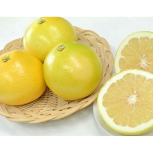 ��6.2kg��9��12�̡�