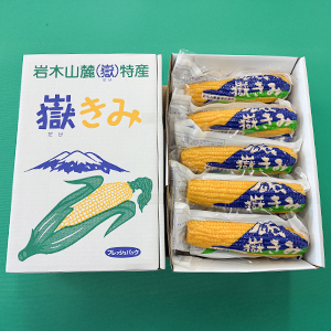 10�����ʿ����ѥå���