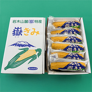 12�����ʿ����ѥå���