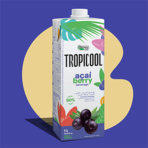 ���������ԥ塼��