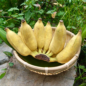 1kg(8��10��)