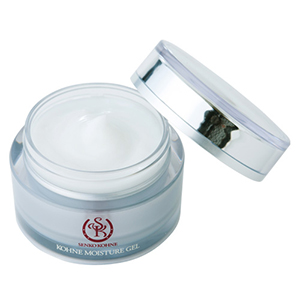 �⥤�����㡼������ݼ����꡼���