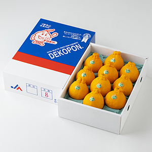 3kg ����Ȣ��