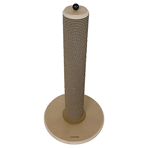 �ʥ�����