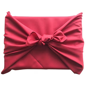 ��Ϥ���դ�