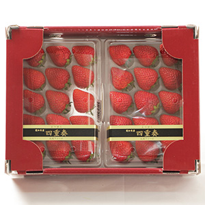 ��250g��2�ѥå�