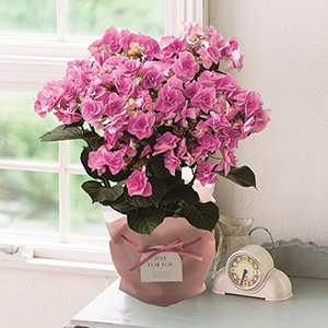 �ڻ�ľ�ۡ�99B470-0066��