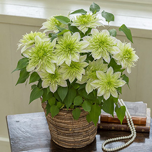 �ڻ�ľ�ۡ�99B470-0040��