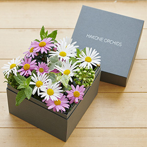 �ڻ�ľ�ۡ�99P221-0001��