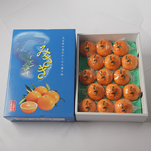 ���� 3kg L��2L