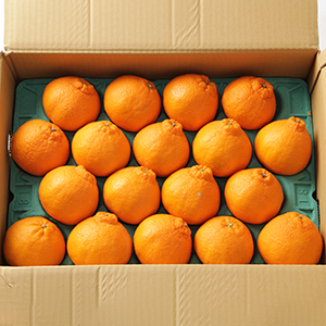 5kg(18��20��)