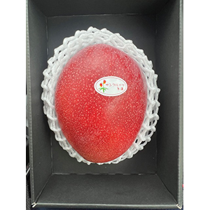 ���ʣ�����600��ʾ�