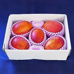 ��1.5kg 3��5����