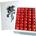 �沽��Ȣ���� ���̡����̶� ���ʵͤ� �������硡