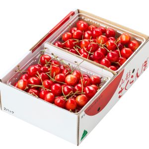 ���顧������������L�ʾ塡�Х�ѥå���1kg