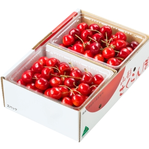 ���顧������������L�ʾ塡�Х�ѥå���1kg