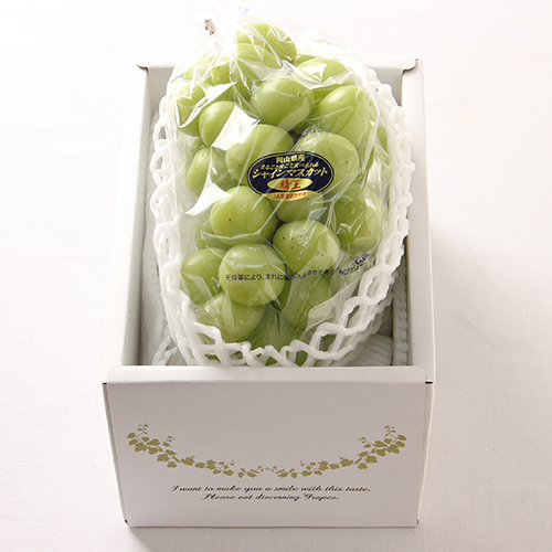 �ϥ������� ��600g ��1˼��