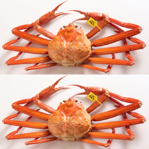 ��600g��2��