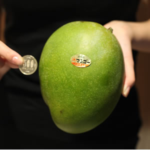 ≪熱帯果実の王様≫沖縄産キーツマンゴー くだもの | G-Callショッピング