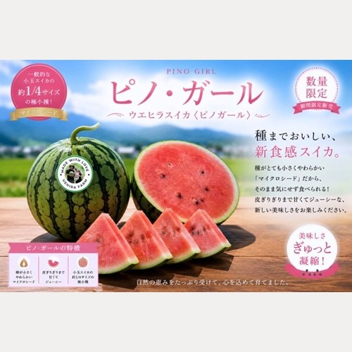 �ԥΡ�������(��������)��1��2.5kg�ʾ�