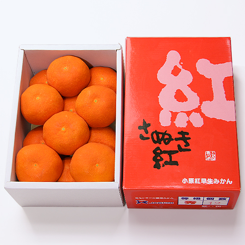 ��1.2kg 12��15��