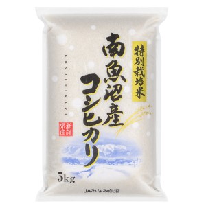 1�󥳡���