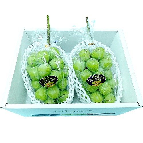 ��600g��2˼