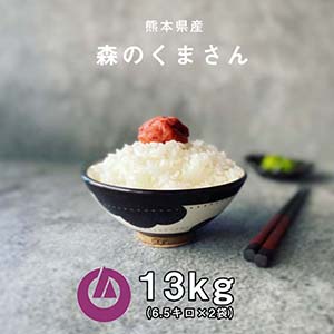 £ǯƿΤޤ 13kg (6.5kg2)