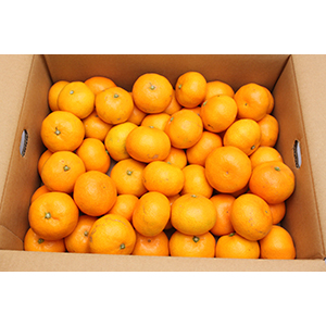 ��2.5kg ��S-L