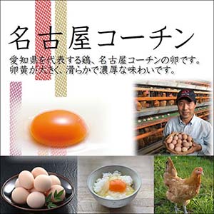 日本三大地鶏！！ 本当に美味しい食べ物は調味料の味に負けません！純系 名古屋コーチンの卵