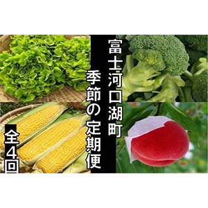 2023ǯ594ٻβϸĮ鵨ءʥ쥿֥å꡼Ȥ