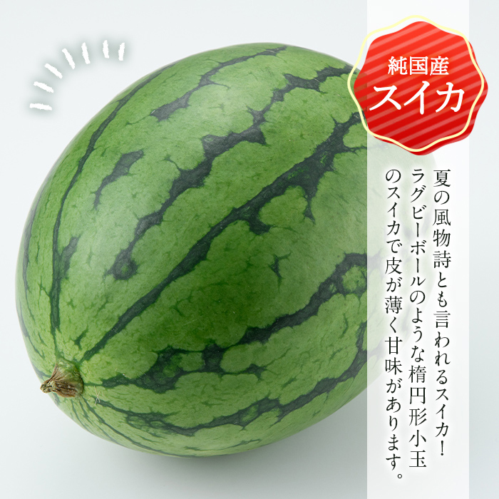 期間限定・数量限定＞小玉すいか≪マダーボール≫3Lサイズ×4玉 ｜ G