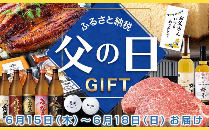 ふるさと納税 都城市 【宮崎県都城市】職人串打ちの本格焼き鳥