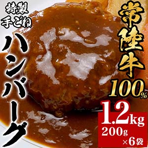 ھΦ100%ꤴͥϥС1.2kg200g6ޡ