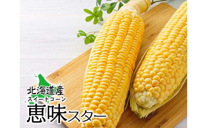 北海道千歳産とうもろこし恵味スター 2Lサイズ＜ファーム安澤＞ ｜ G