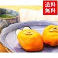 和歌山産 あんぽ柿