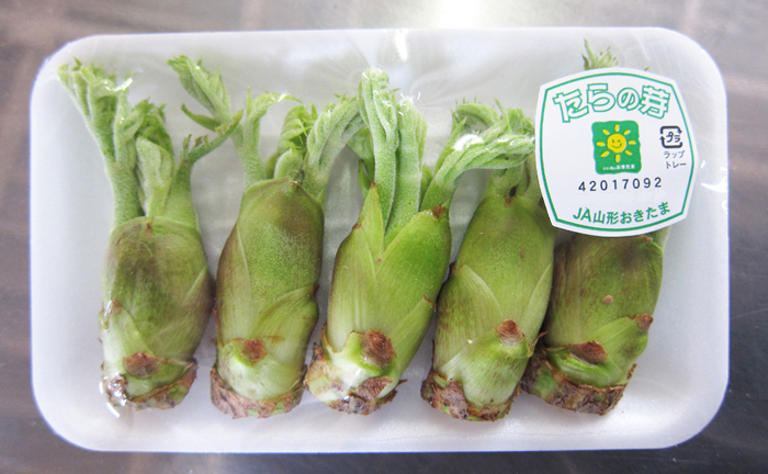 同梱】山形置賜産≪タラの芽≫ 野菜 | G-Callショッピング