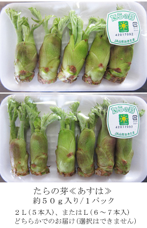 山形置賜産≪たらの芽≫ 野菜   ショッピング