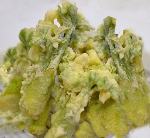山形置賜産≪たらの芽≫ 野菜 | G-Callショッピング 山形置賜産≪たらの芽≫ 野菜 | G-Callショッピング
