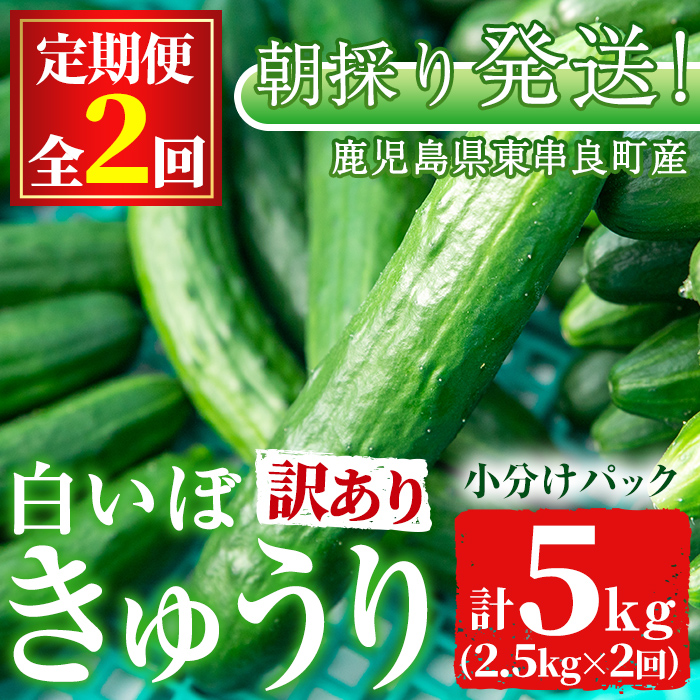 森のきゅうりさま依頼資料 森のきゅうりさま依頼資料 森のきゅうりさま