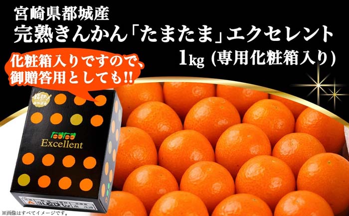 エ★特選♡贈答品★1.5kg超【GIFT♡箱入り10石☆ゴールデンカルサイト】P 先行受付!》 完熟きんかん「たまたま Excellent」1kg (化粧箱入) ｜ G