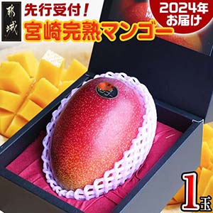 Լ!۵ܺ괰ϥޥ󥴡1(Ծ뻺)