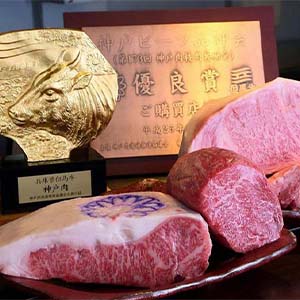 定期便6回　A5等級神戸牛（神戸ビーフ）食べ尽くしコース　