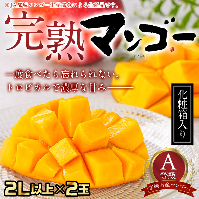 【　sony 】　様　　専用　　　宮崎　完熟　マンゴー マンゴー 完熟宮崎マンゴー 宮崎県産 3Lサイズ 2玉 : 産直