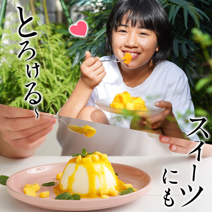 受付再開しました】宮崎県産完熟マンゴー(A等級) 【2L以上×2玉】【在庫