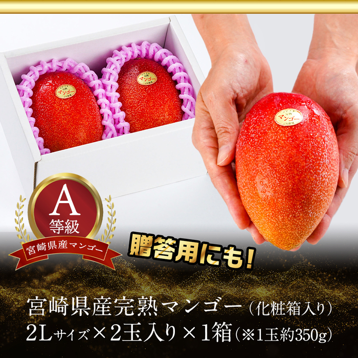 受付再開しました】宮崎県産完熟マンゴー(A等級) 【2L以上×2玉】【在庫